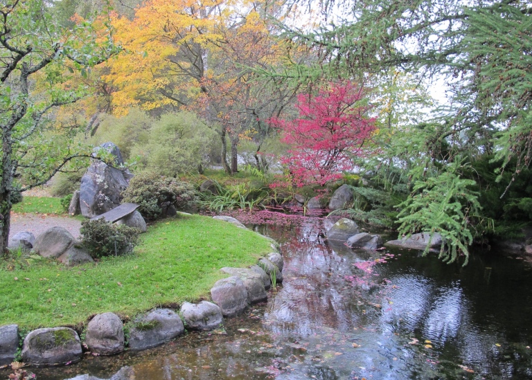 The Japanese Pond