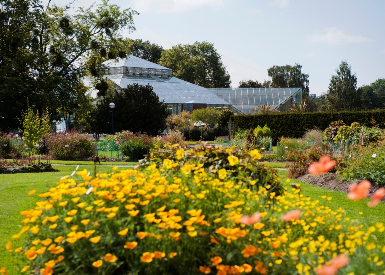 View across the Systematics Section with greenhouse in the background