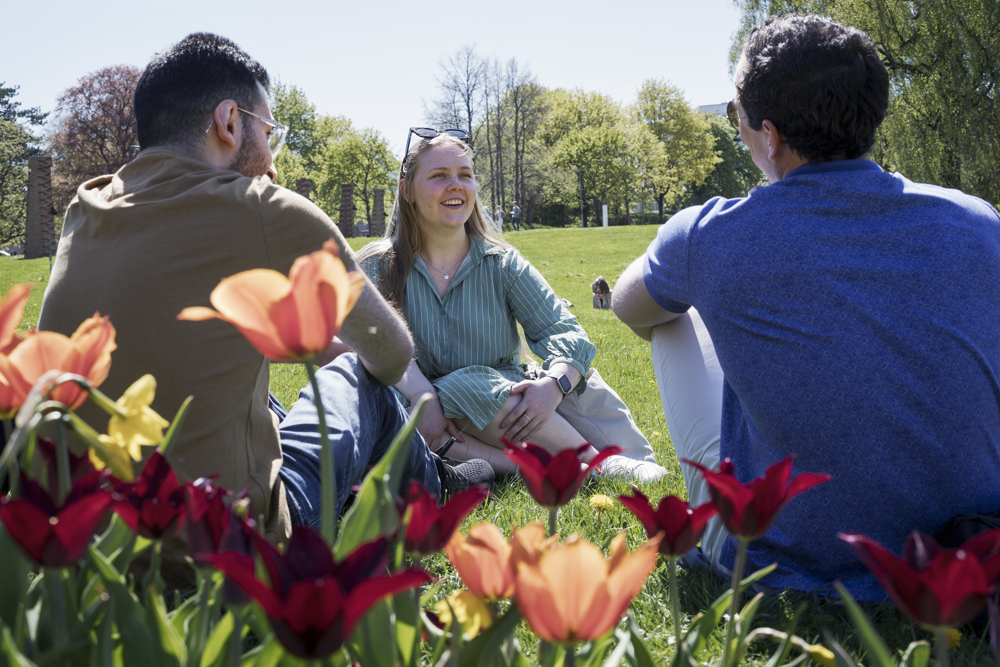 Glada studenter sitter utomhus på gräsmatta.