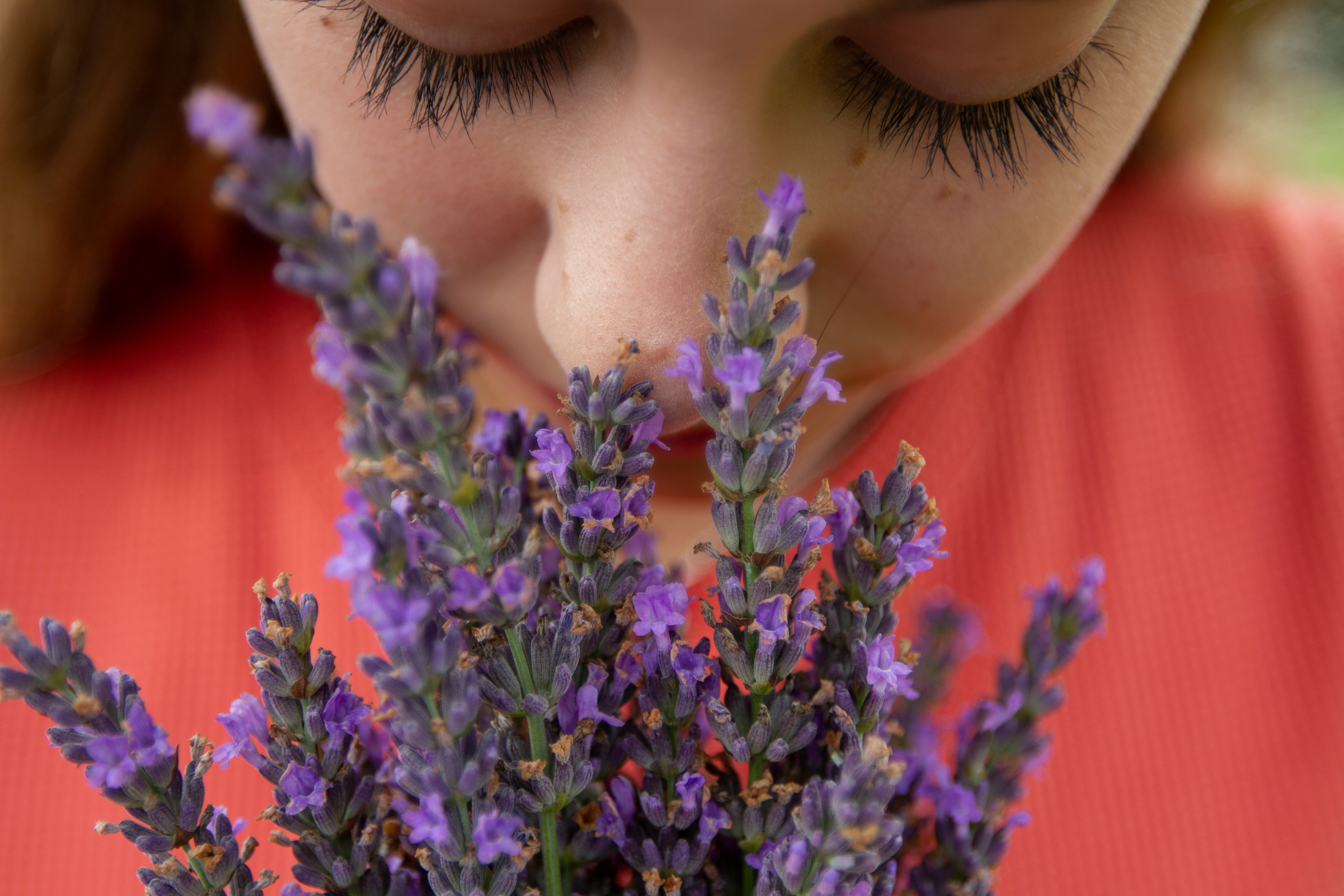 Kvinna doftar på lavendel