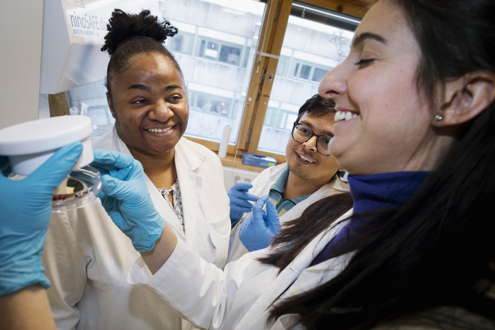 Three persons i labcoats are looking at petri dish