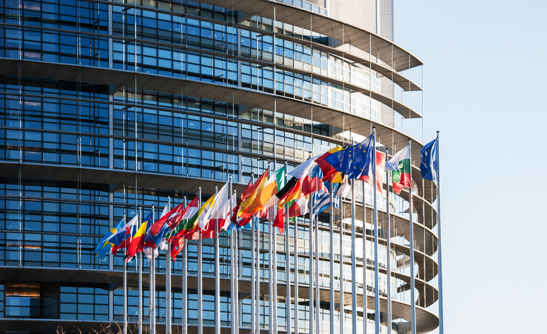 EU flags