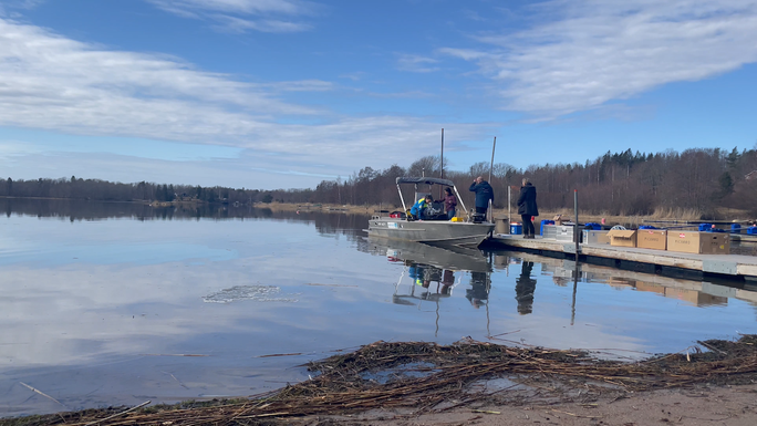 Small boat on a Swedish lake near a pier, with researchers both on the boat and standing on the pier using scientific equipment.