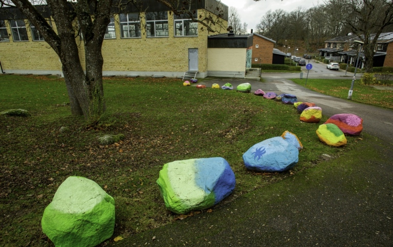 Barn med migrationsbakgrund i anpassad skola