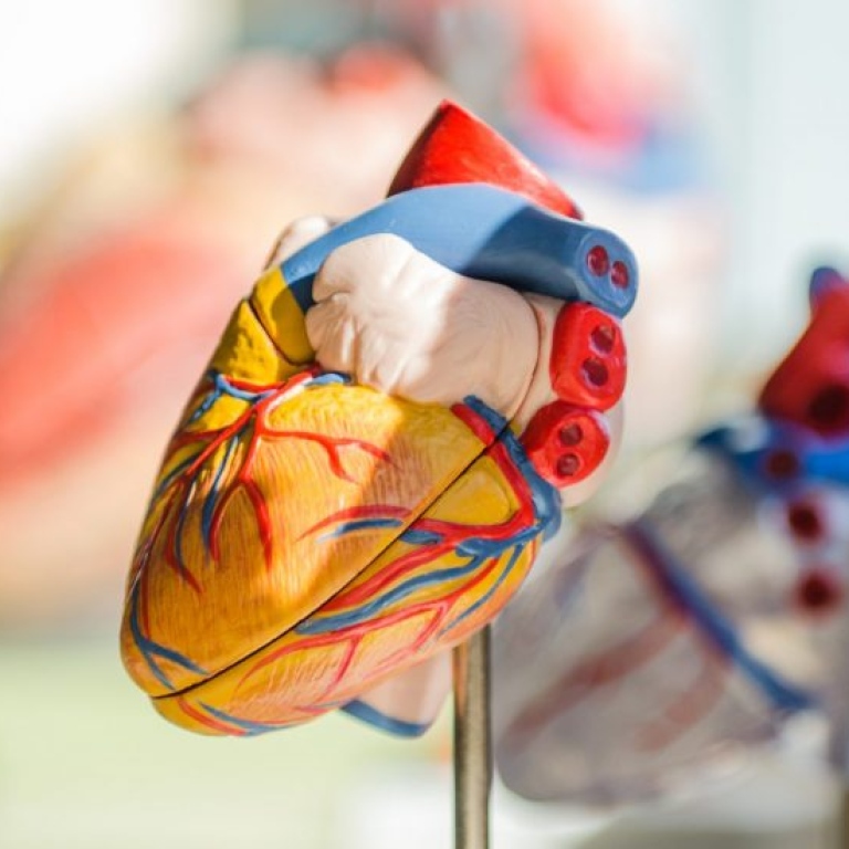 Close-up of plastic heart.