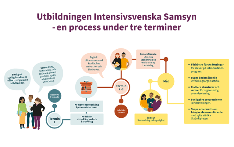 Illustration över Intensivsvenska samsyn process