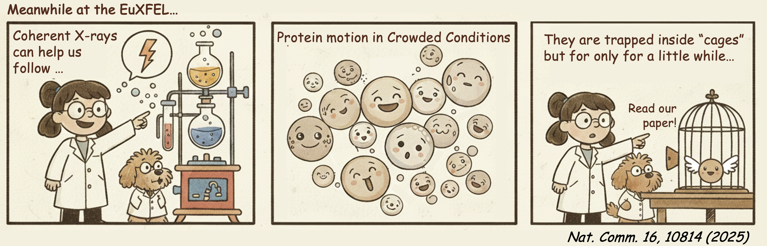 Proteins - comic strip