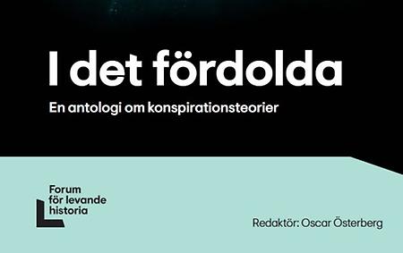 Omslagsbild för boken i det fördolda i färgerna svart och grönt
