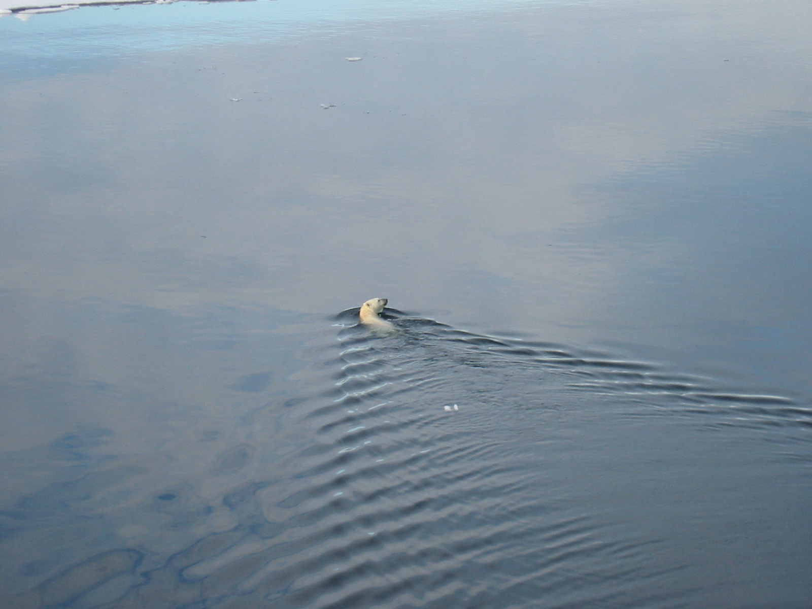 Photo: Michael Tjernström