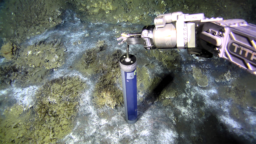 Still frame from a video showing Microbial mats and carbonate crusts on the seafloor of the Lofoten-Vesterålen margin, northern Norway. These ecosystems are sustained by groundwater and methane slowly seeping from sediments beneath the seabed.