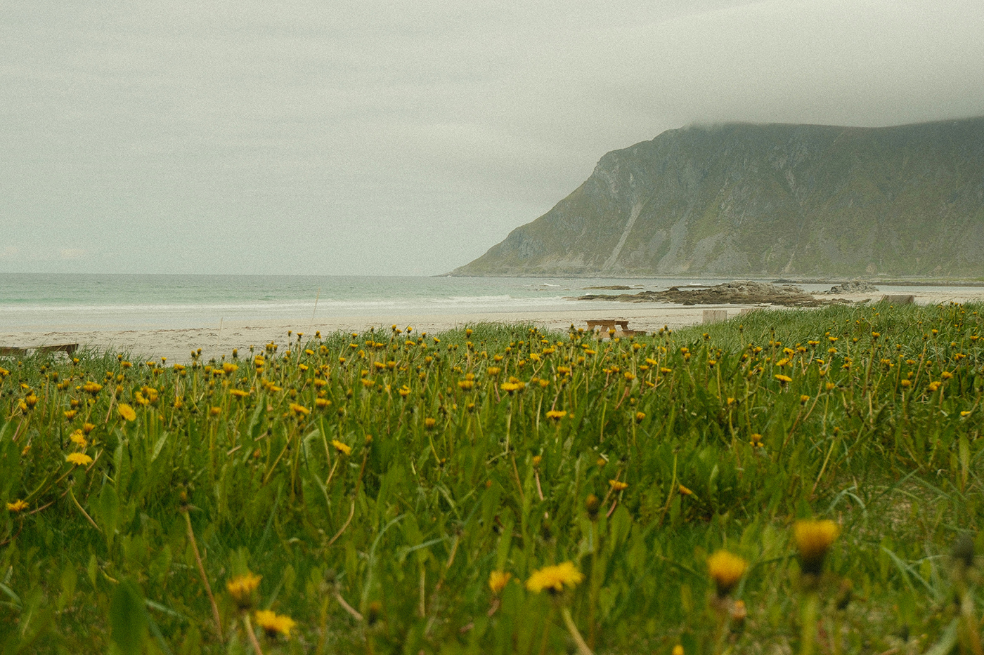 Rambergstranda, Ramberg, Norway. Photo: Ashutosh Gupta on Unsplash.com
