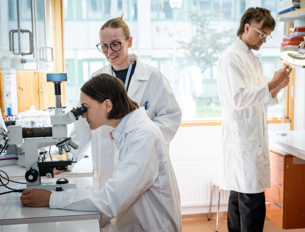 Students in the lab.