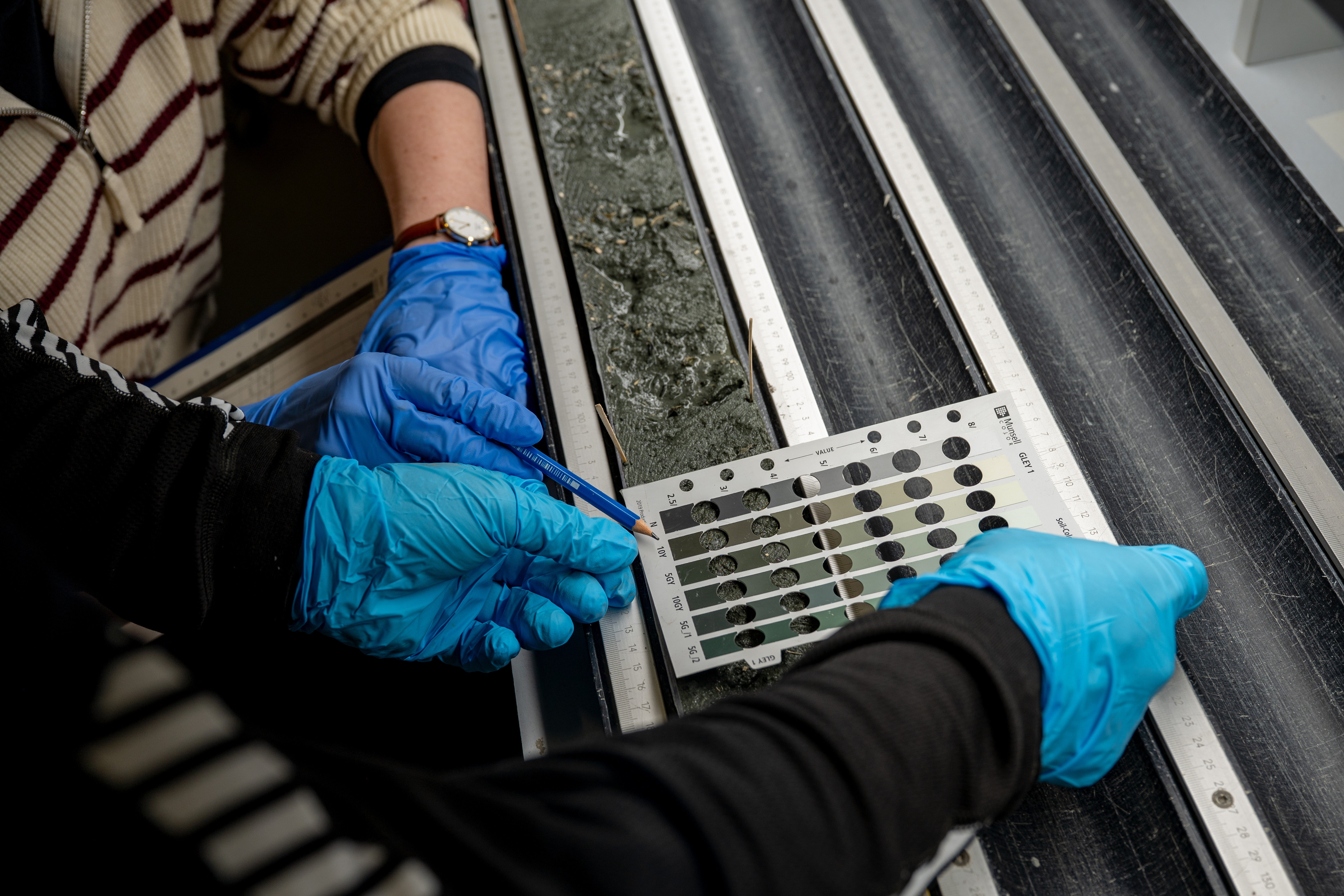 Sedimentkärnorna från havsbottnen har nu analyserats på ett laboratorium i Bremen. Foto: ECORD/IODP3/NSF