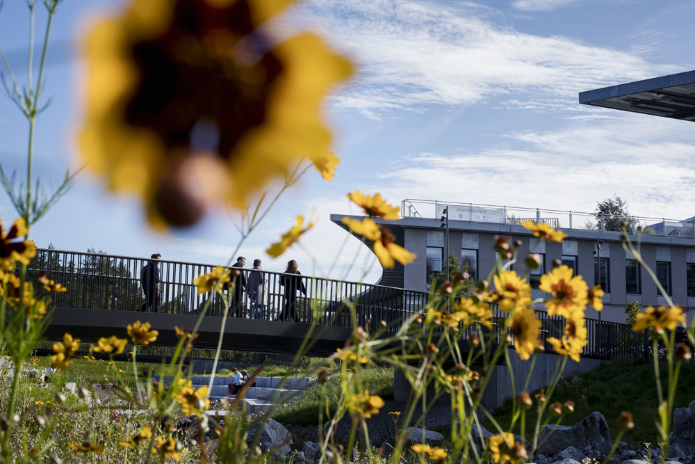 Blommor utanför Campus Albano, Stockholms universitet. Fotograf Jens Olof Lasthein