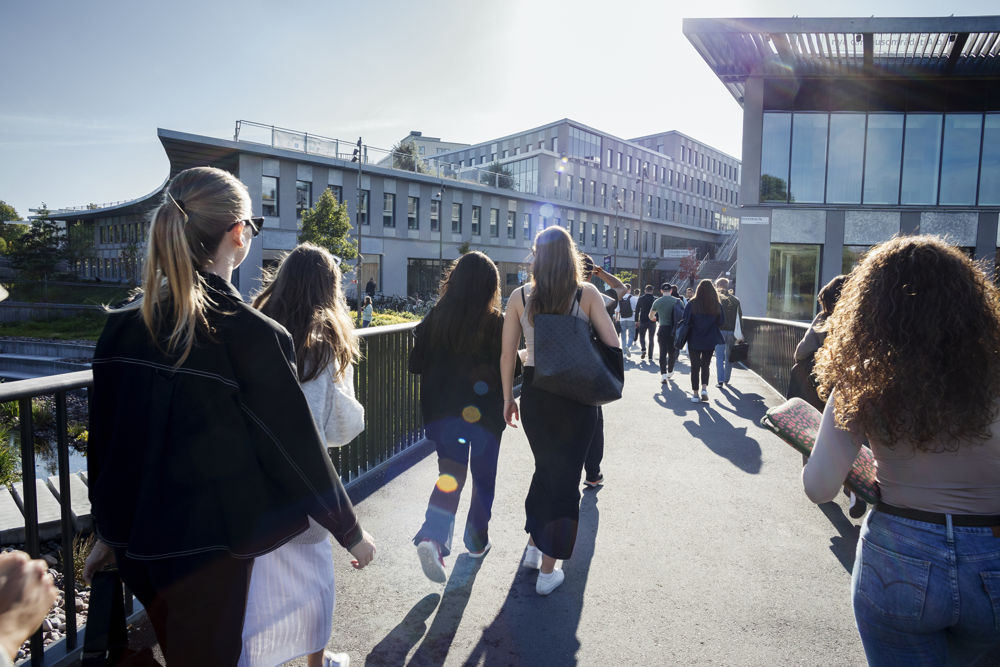 Studenter på väg in i Albano, i motljus.