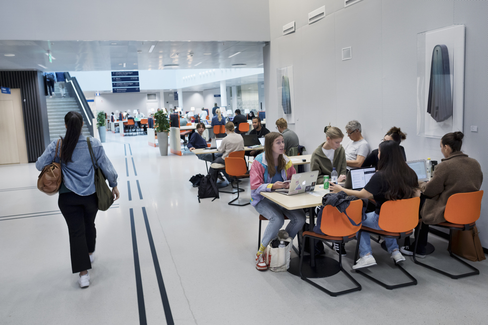 Studenter som pluggar i Albano.