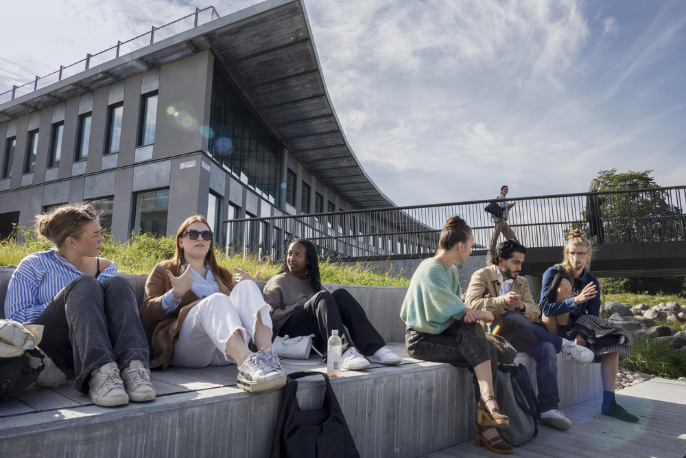 Studenter i solen utanför Hus 2, Albano.