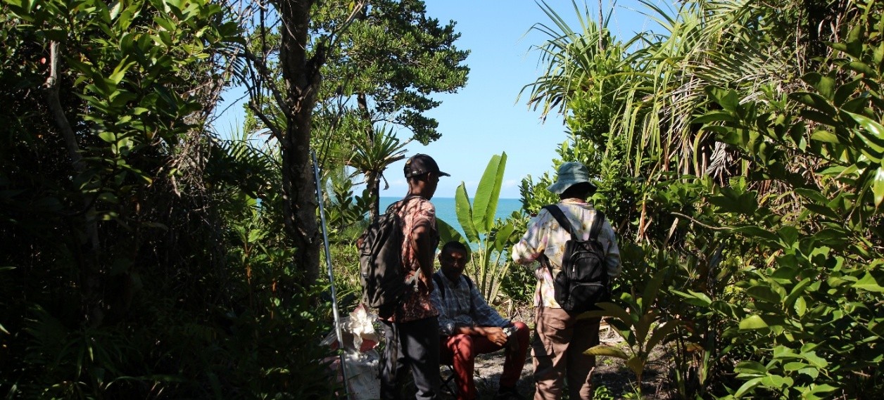 Researchers collecting botanical specimen in the Tampolo littoral rainforest, Madagascar.