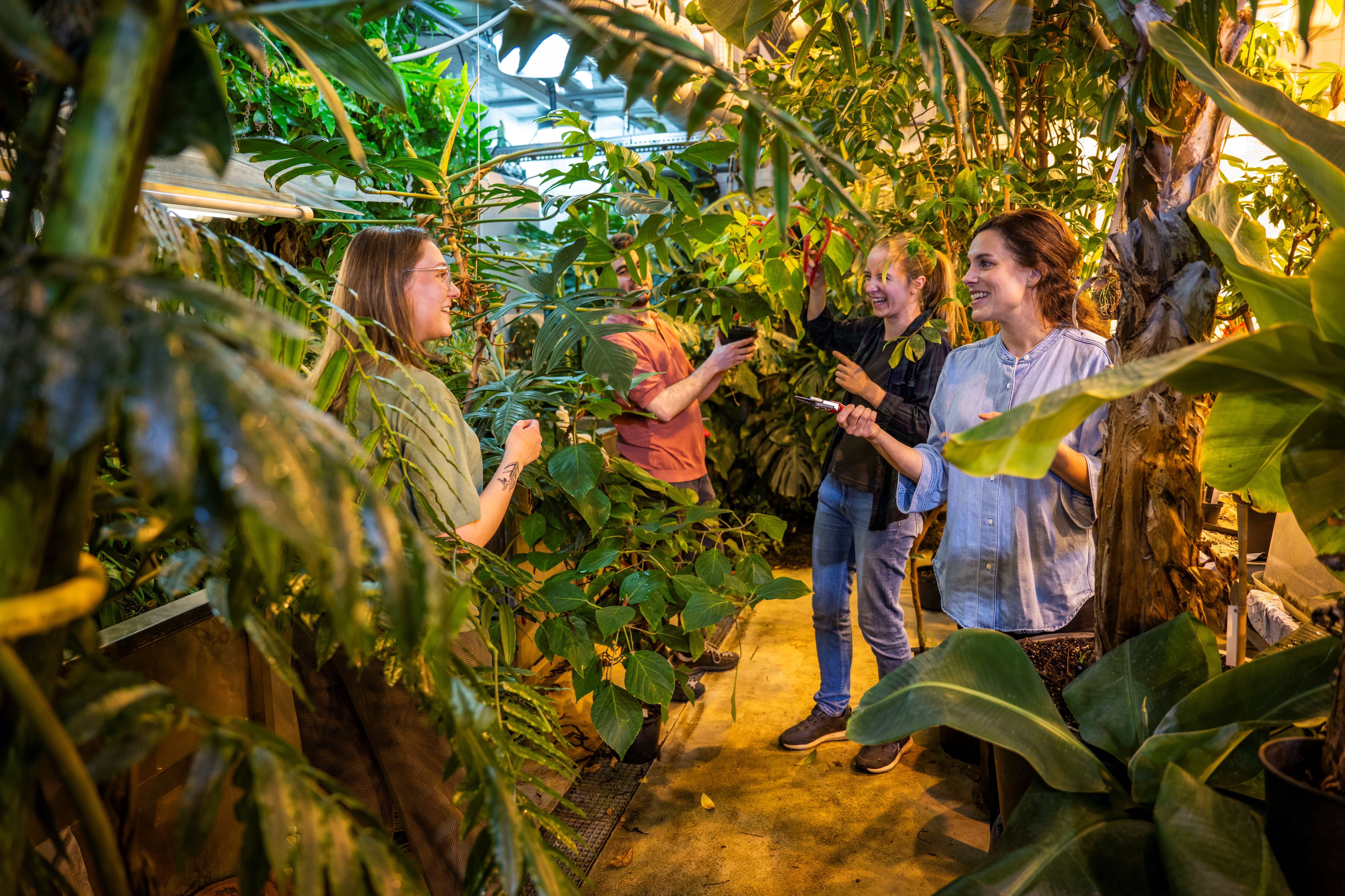 A group of people standing in a greenhouse surrounded by lush green plants.