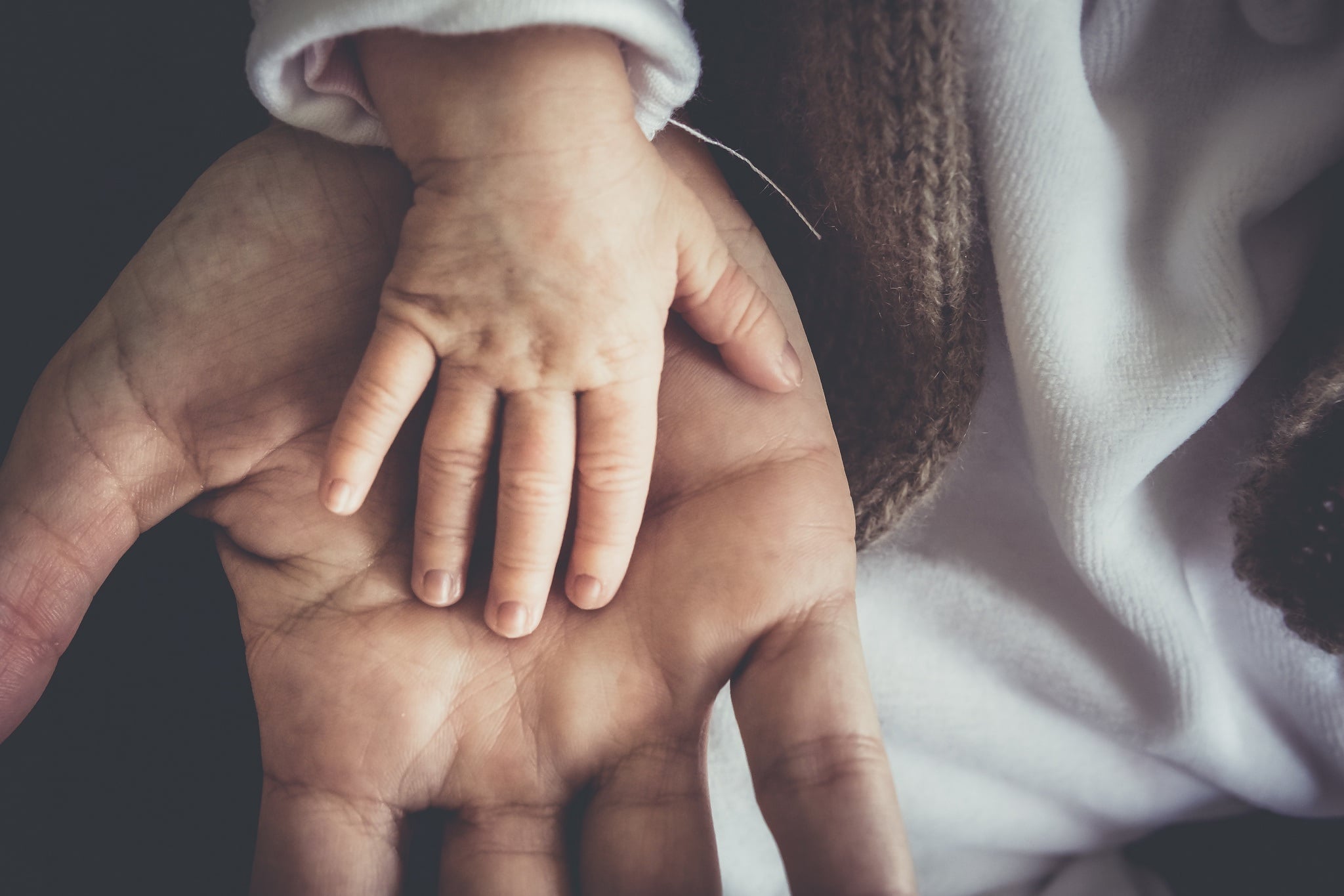 Ett barns hand rör vid insidan av en vuxen människas hand.