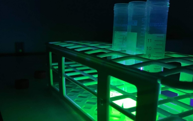 Fluorescens