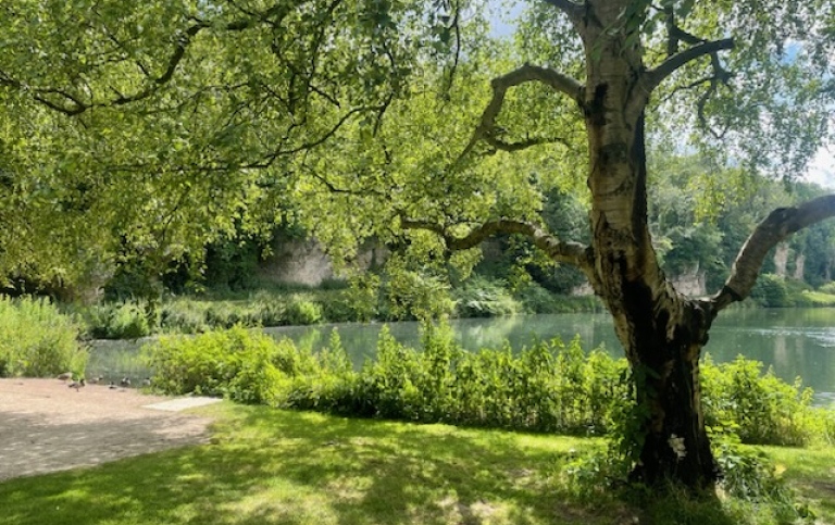 Foto: Christina Fredengren