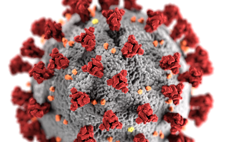 Corona virus