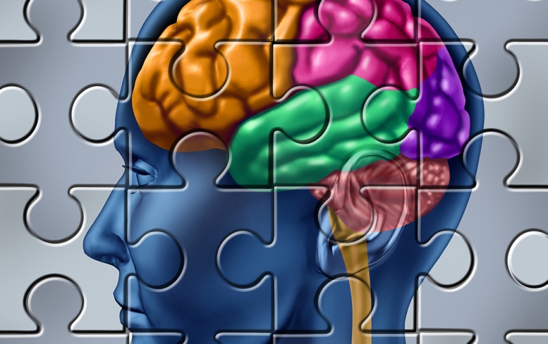 Pussel hjärnan, jigsaw puzzle, brain