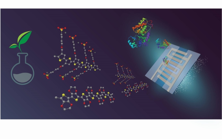 Organic Electronics