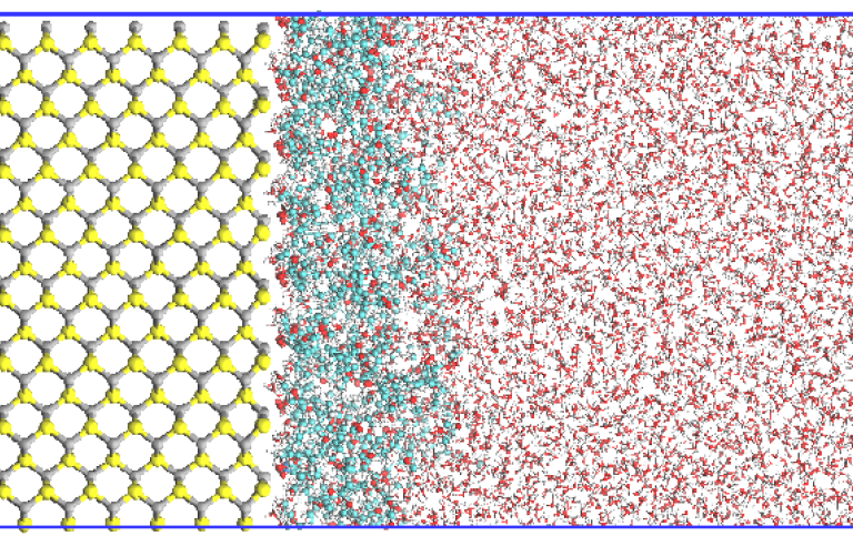 ZnS surface with polymers in the solution of water