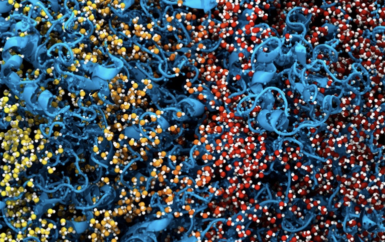 Dynamics of proteins in crowded environments on multiple length and time scales