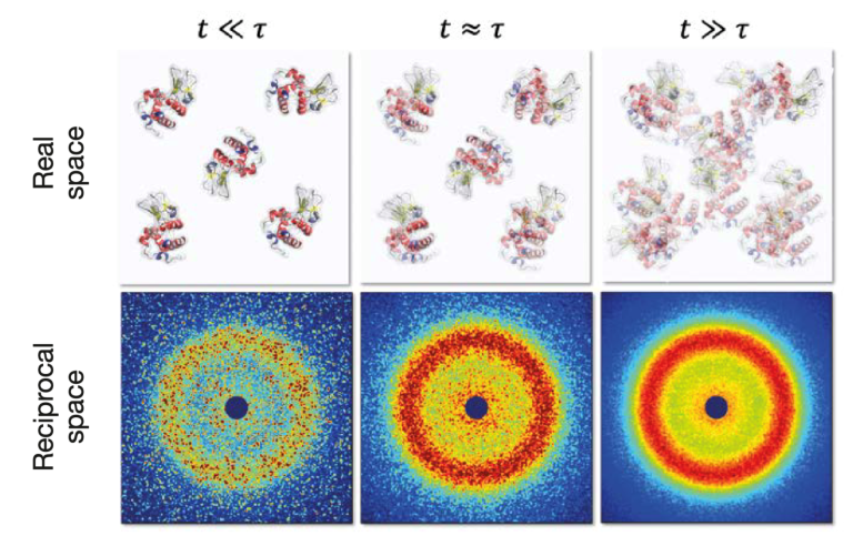 Biomolekyler i trånga miljöer