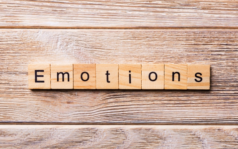 Emotions, written in wood blocks.