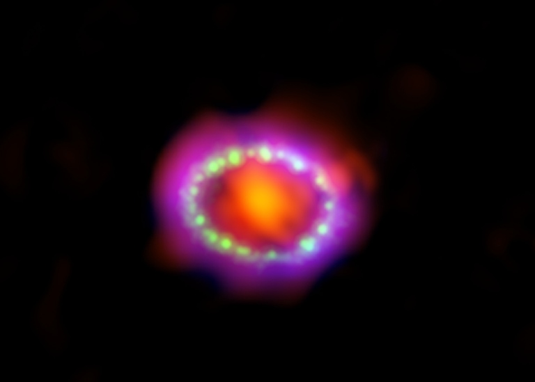 Supernova 1989A