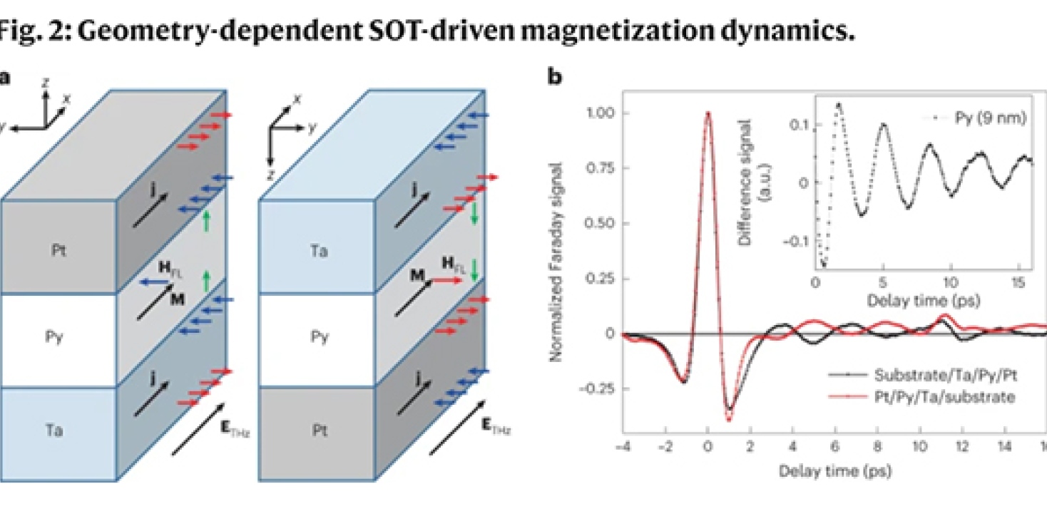 Geometry-dependent SOT-driven magnetization dynamics