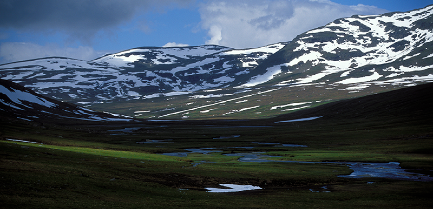 Bergskedja med snö