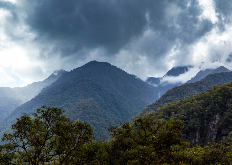 Regn avdunstar från Amazonas molnskogar