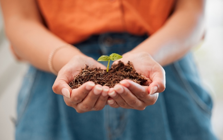 HANDS, CLOSEUP AND HOLDING GROWING SEEDS
