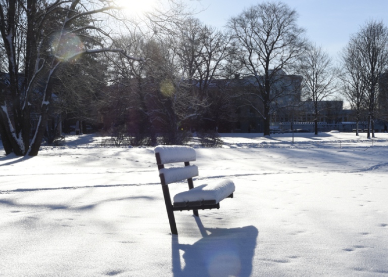 An outdoor bench surrounded by a cover of snow and shining sun.
