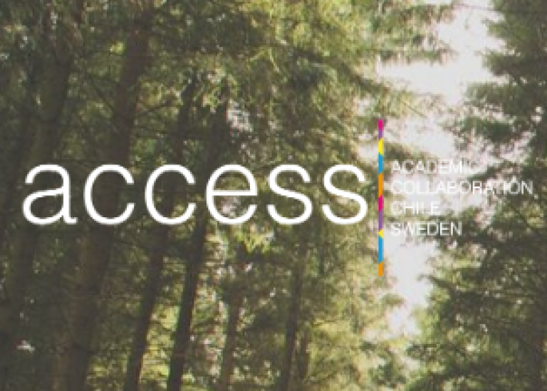Access logotyp med ett träd i bakgrunden