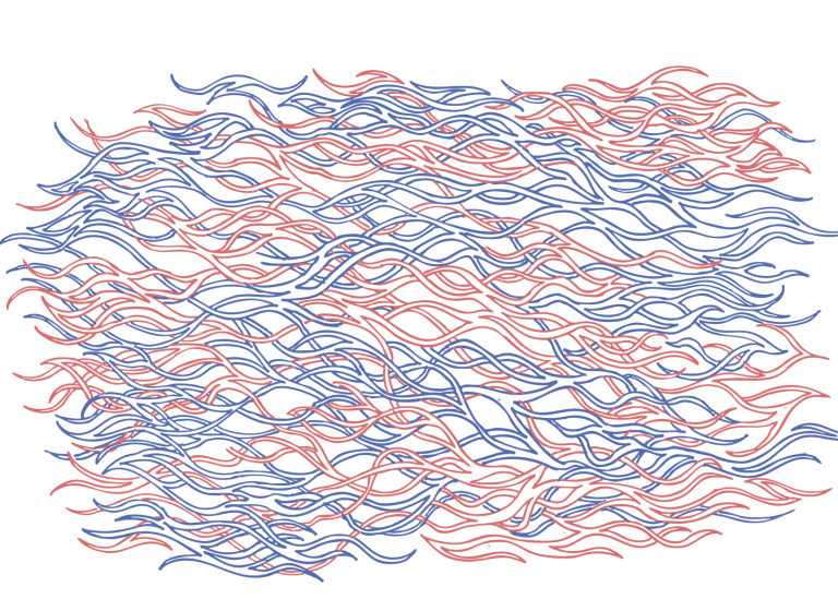 Thesis_Santi_Illustration: Rachel Wu