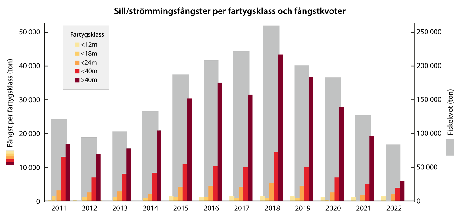 Sill rapporterad fångst + TAC