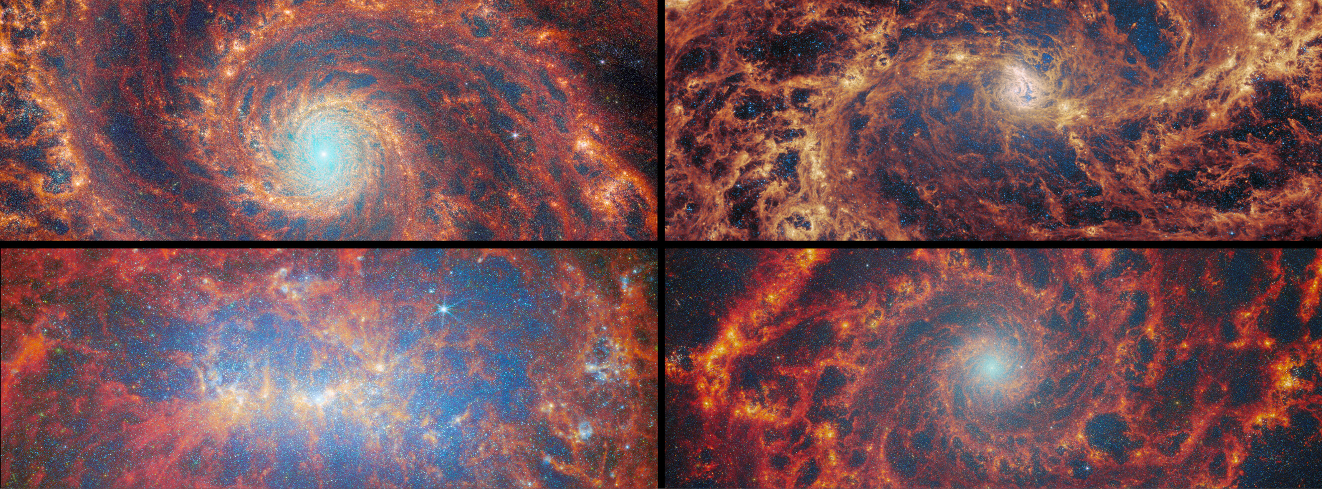 Bilder av de fyra spiralgalaxerna som har observerats av JWST i FEAST-projektet.