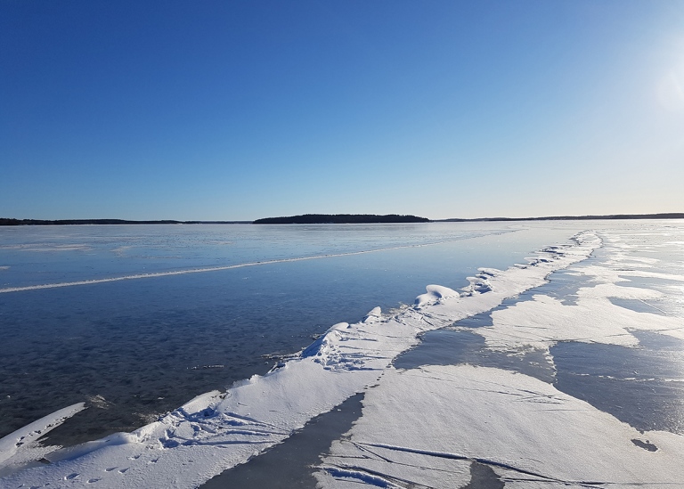 Ice in Bråviken. Photo: Torben Koenigk