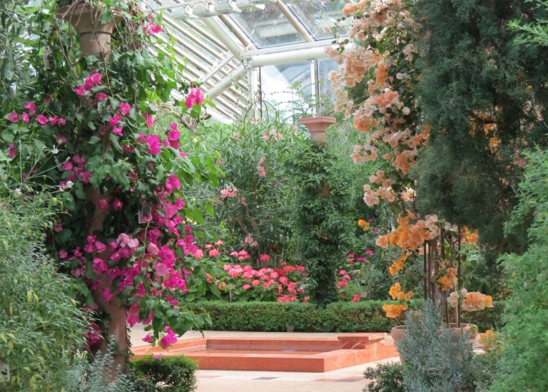 Interior of the greenhouse.