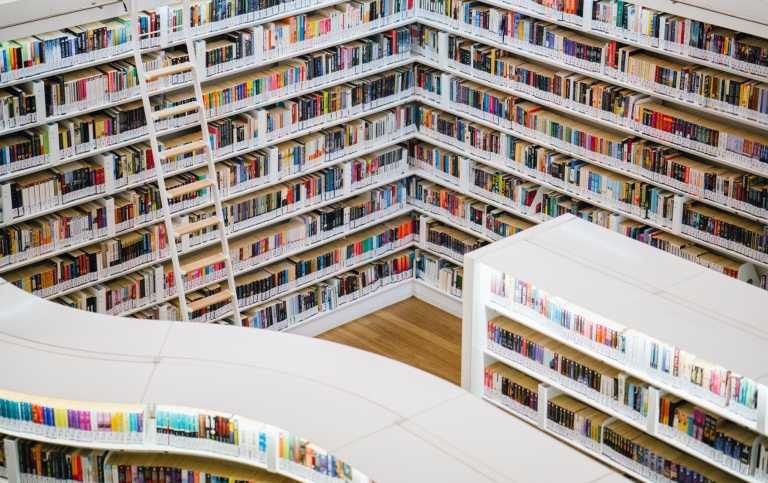 Academia. Library photo.