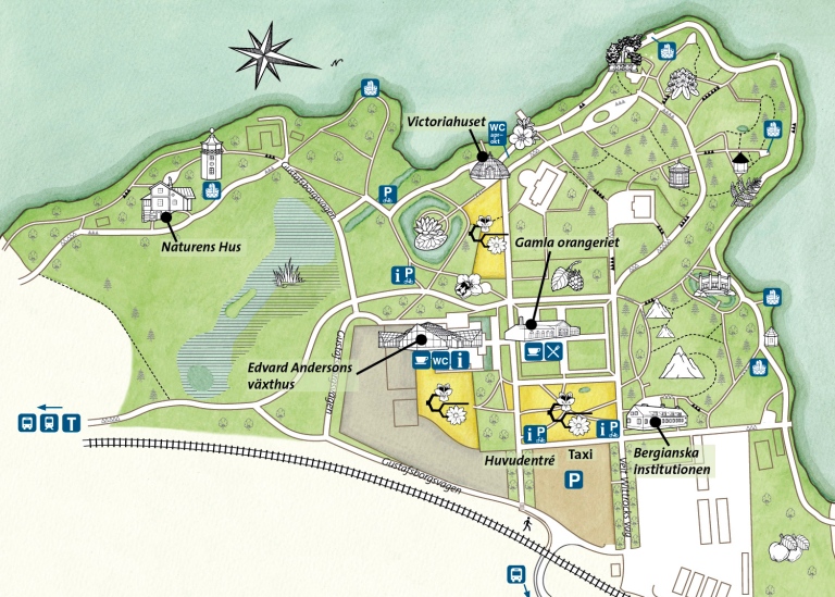 Karta över Bergianska trädgården 2023
