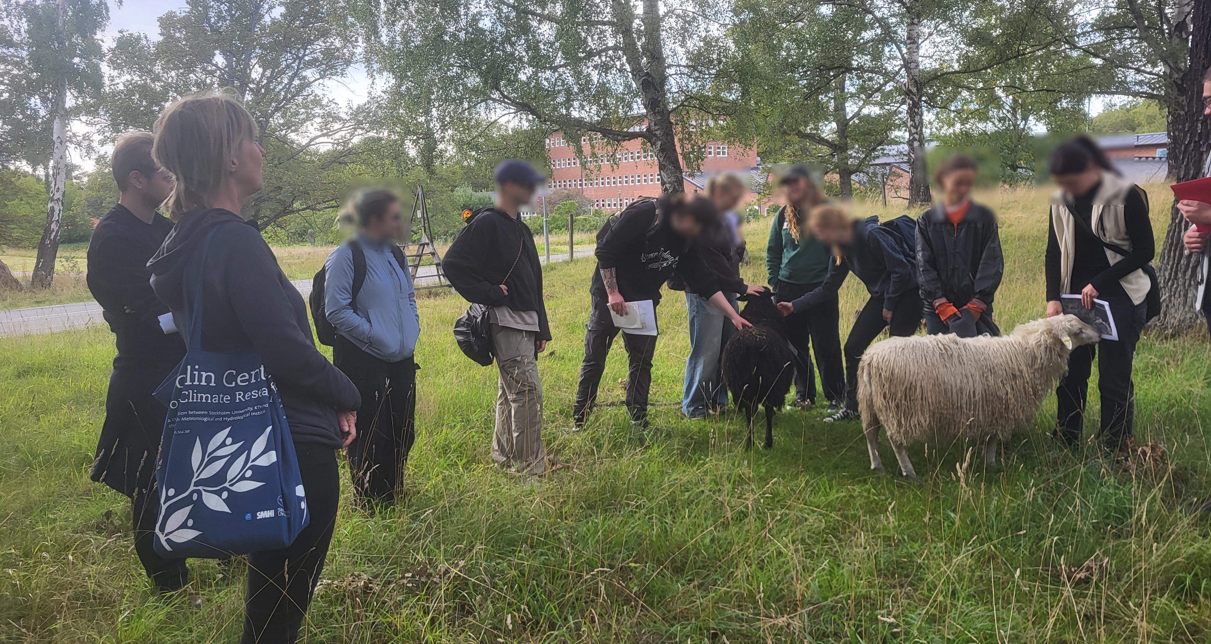 Studenter och en lärare på fältkurs ute i naturen, där några studenter klappar ett får.