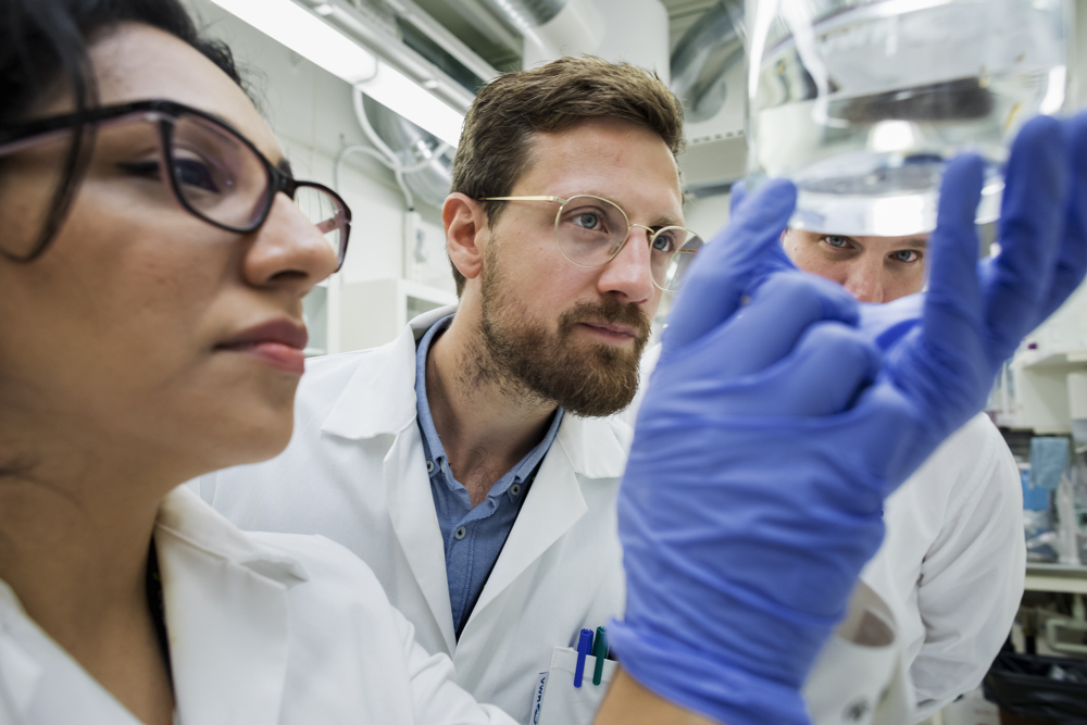 Researchers in lab environment.