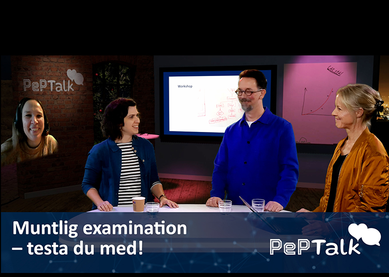 Deltagare i programmet